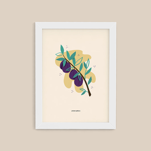 plakat / śliwka / 30x40 Magdalena Morzuch