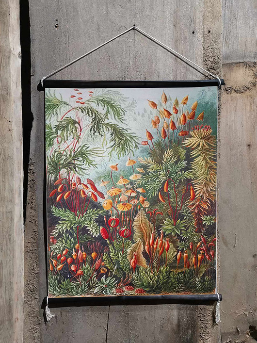 plakaty Plakat Reprodukcja na płótnie w drewnianej ramie, format A1 60X85cm