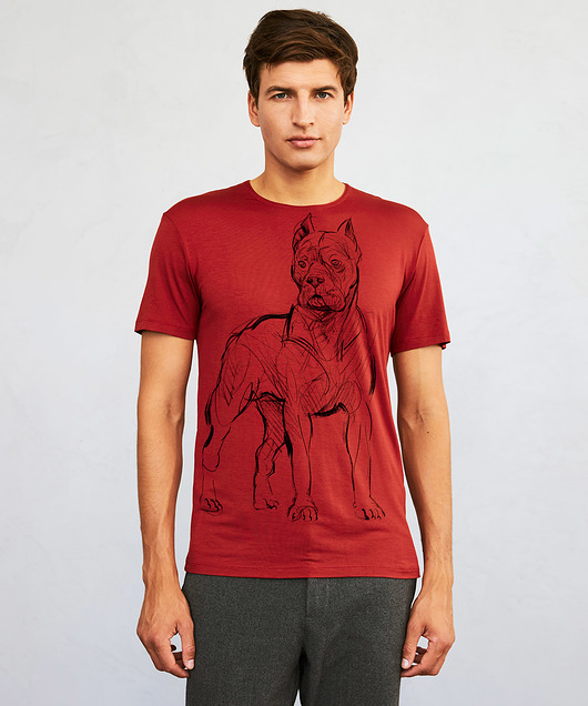 t-shirty męskie Cane corso Dog Men's T-shirt marsala