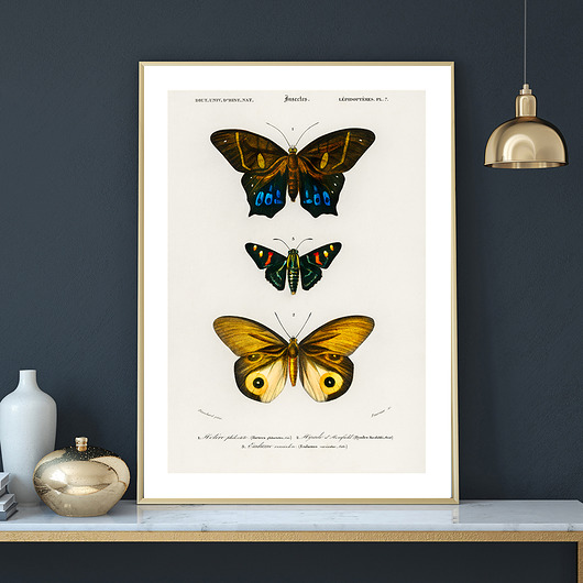 Plakat BUTTERFLIES no.1 muybien