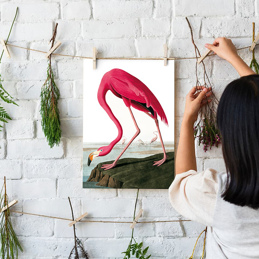 Plakat Flaming w stylu vintage  HOG STUDIO