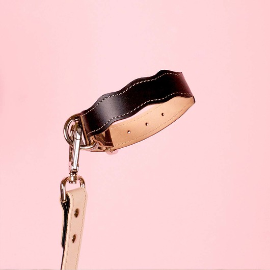 smycze i obroże dla psów i kotów New Wave Collar