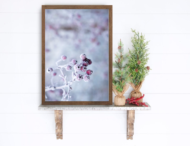 plakaty PLAKAT  zimowy śnieg natura