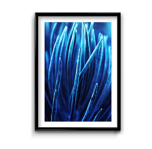 Plakat Navy Blue No.3  Bury Lis