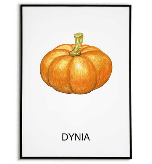 plakaty Plakat  GRAFIKA DYNIA warzywa obraz ZIOŁA