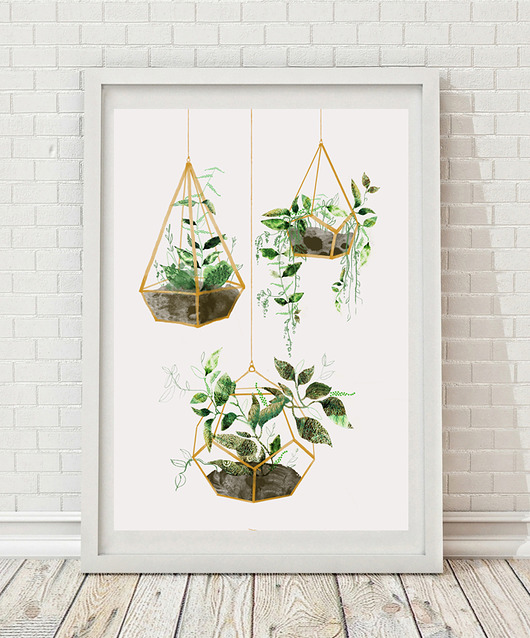 ilustracja botaniczna | A3 Anita Tomala