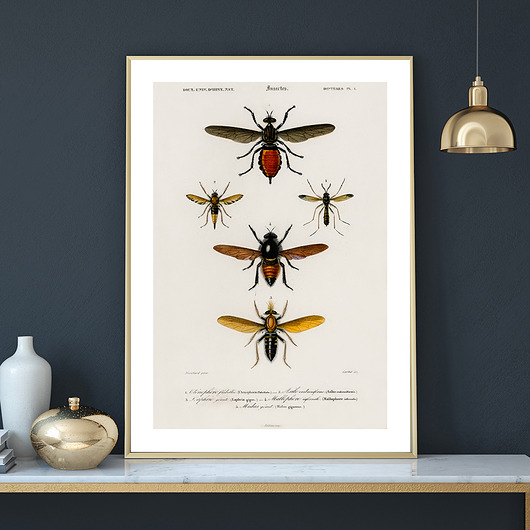 Plakat INSECTS no.1 muybien