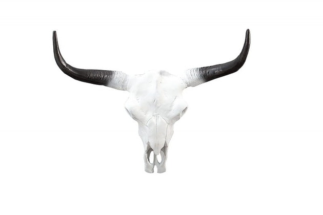 Ozdoby na ścianę Poroże rogi Matador białe aluminium 70cm