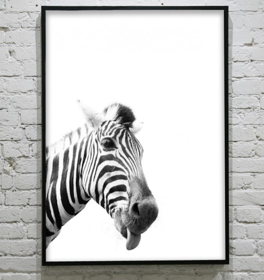 ZEBRA- poster KOKO by HOKO