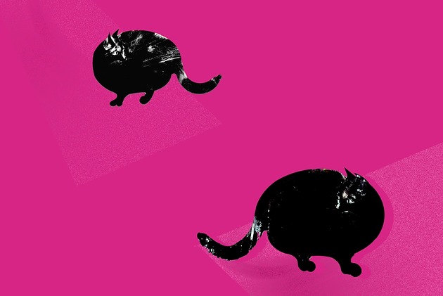 grafiki i ilustracje Czarne kOty /2/