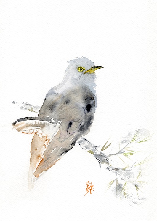 obrazy Oryginalna akwarela. Kukułka