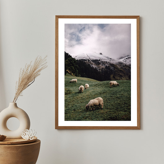 plakaty Plakat SHEEPS