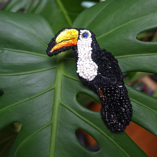 broszki Tukan- kolorowa broszka