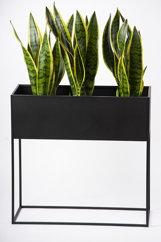 kwietniki DONICA long RODOS 60 cm, CZARNA