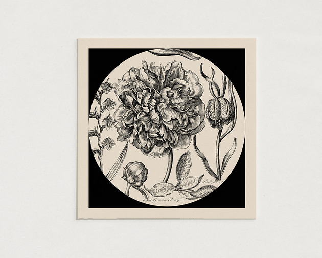 plakaty Kwiaty / Oryginalna grafika / poster print / Gicle