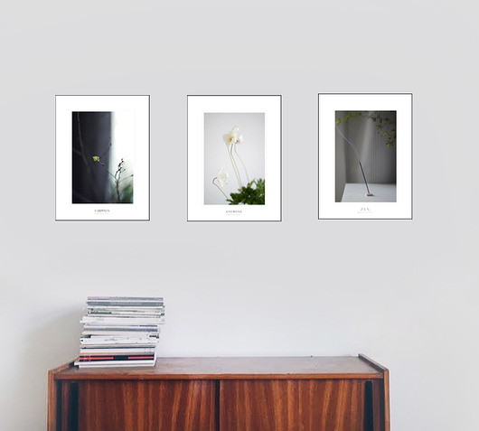 KOMPLET 3 FOTOGRAFII Margo Hupert