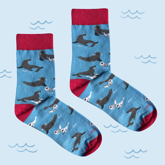 skarpetki damskie Skarpetki FOCZKI