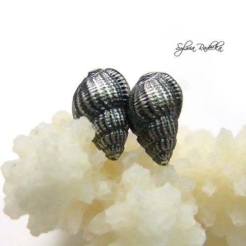 Shells Radecka art
