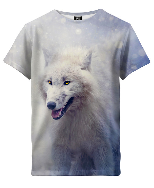 t-shirty dla dziewczynki T-shirt Girl DR.CROW Winter Wolf