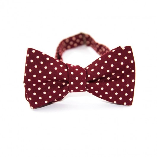 Muszka wiązana The Bow Bow Ties