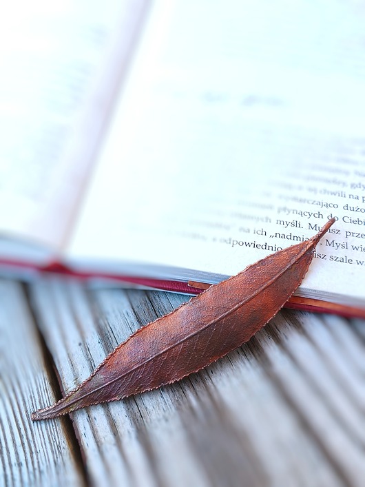 wisiory Liść wierzby III wisior miedziany