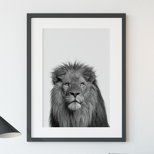 Plakat Lew - 50x70cm ScandiMyLove
