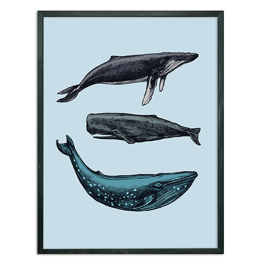 Plakat WIELORYBY - 30x40 cm DEKOSKA