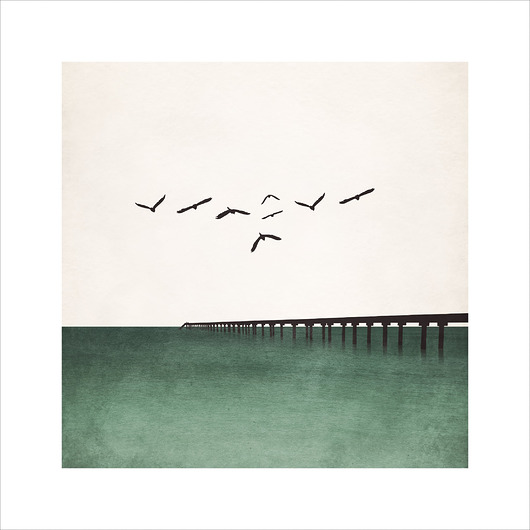 plakaty Birds II Plakat