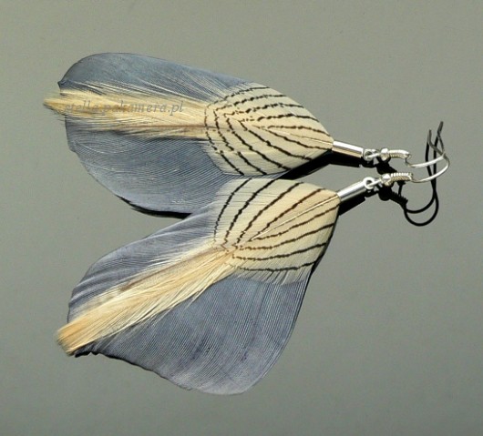 jeans Stella
