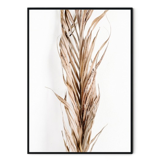 Plakat minimalistyczny botaniczny Źdźbło myscandi