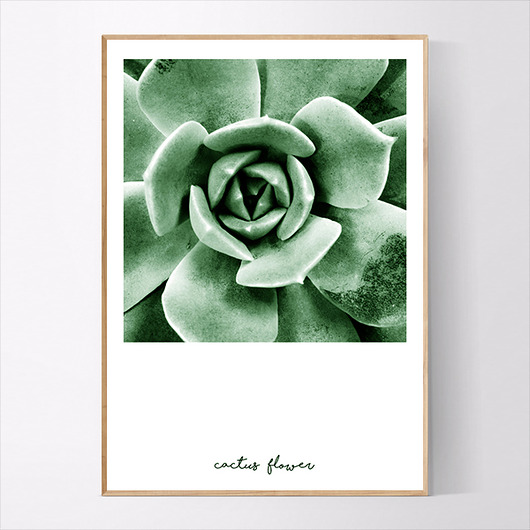 Plakat CACTUS FLOWER GREEN MUKKO