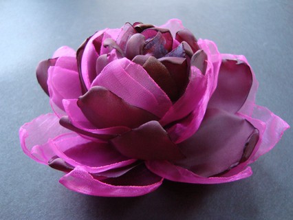 LAVIOLETTE SundayRose