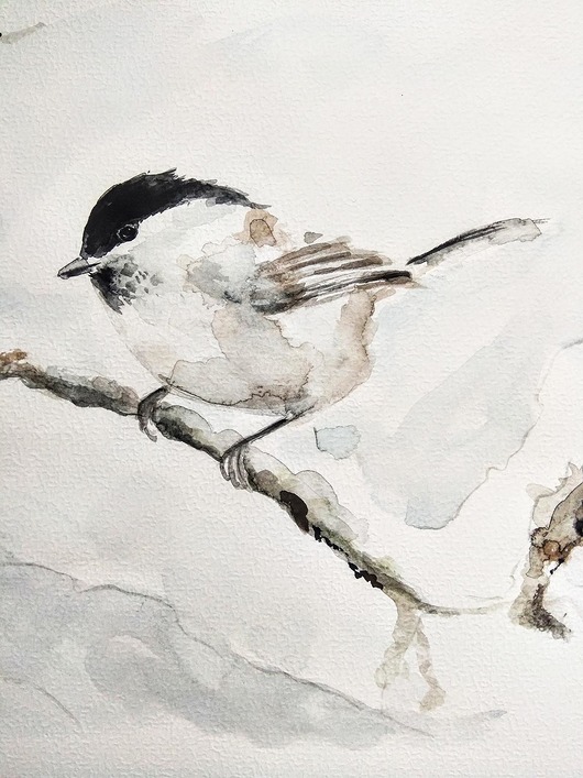 Akwarela ptak Czarnogłówka Wiktoria Borys Art