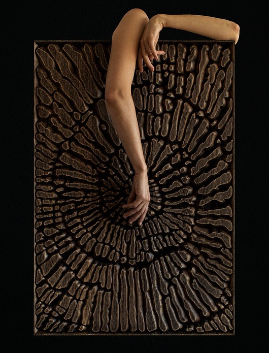 Ozdoby na ścianę Oak wood wall decorative panel, 35x24in/90x61cm, Nautilus