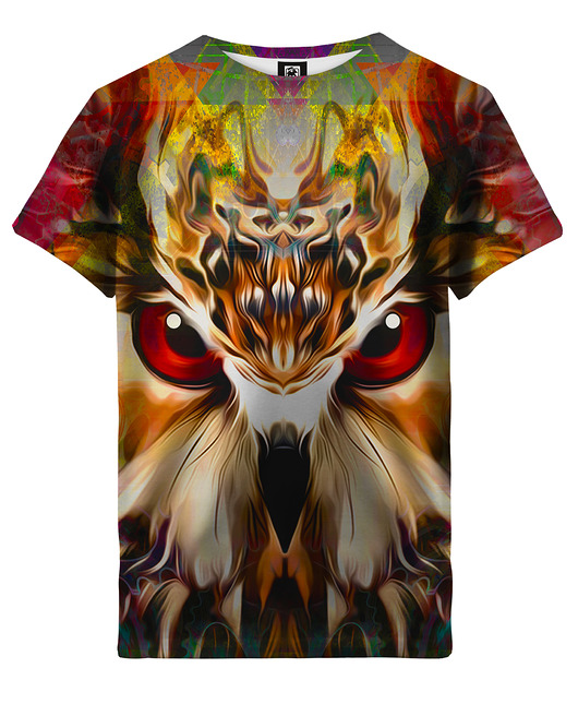 t-shirty dla dziewczynki T-shirt Girl DR.CROW Owl