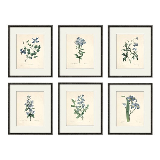 Rysunek kwiaty grafika błękitne kwiaty Victorian wall art