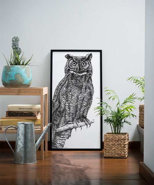 grafiki i ilustracje Sowa