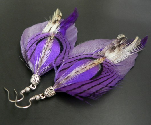 viola Stella