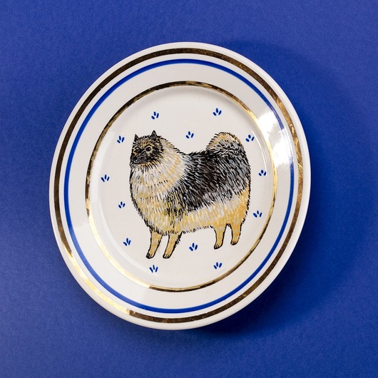 Ozdoby na ścianę Talerz na ścianę - pies keeshond