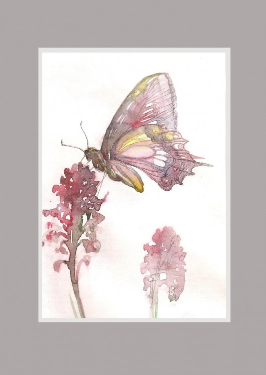 bajkowy motyl Madame&Rose