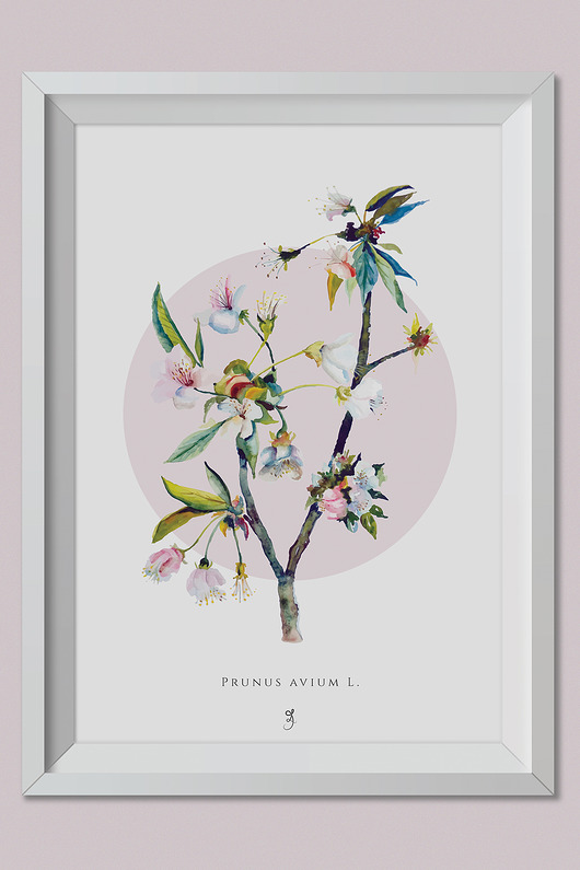 Plakat Czereśnia Grafika 70x50cm ŁUKASZ KROKOSZ ART