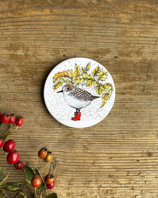 magnesy Biegus-Ptaszek- Magnes ceramiczny- Ilustracja- Ptaki