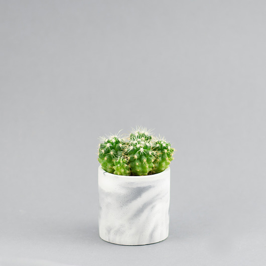 doniczki MINI doniczka na kaktusa 6 cm