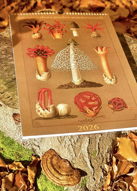 kalendarze i plannery Kalendarz z grzybami MYKOTERAPIA 2026 Z OPISEM GRZYBÓW A3 grzyby