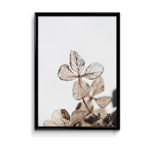  Dry  30x40 plakat  Bury Lis