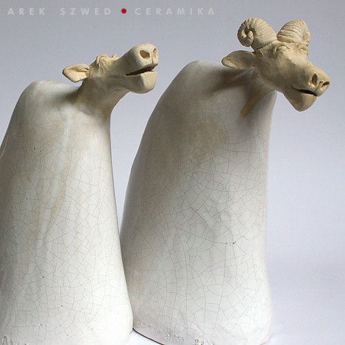 owce 2.11 Arek Szwed