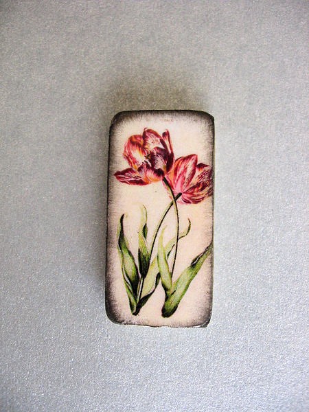 tulipany Galeria Belladonna