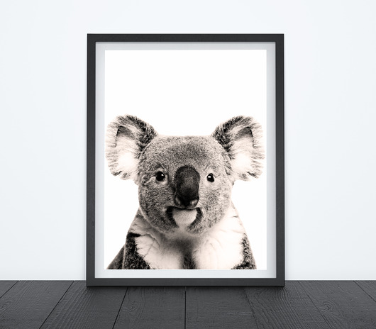 KOALA - OBRAZEK, PLAKAT, DEKORACJA A4+RAMKA Dekoracjan