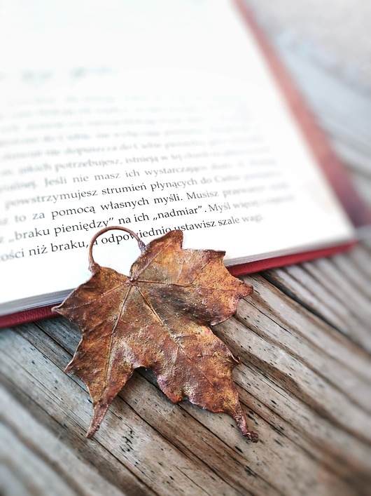 biżuteria męska Liść miedziany Klon Zwyczajny VI