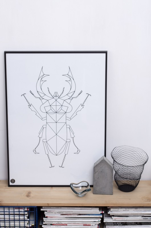 Kinkallo plakat Jelonek rogacz, 50x70 cm Kinkallo
